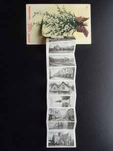 Hampshire Novelty Pull-out SPRIG OF HEATHER from WINCHESTER c1914 Postcard