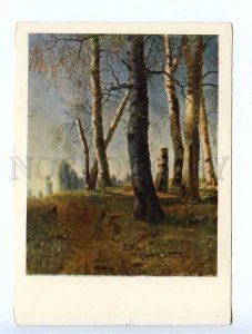 228290 ARMENIAN artist Bashinjaghyan birch grove old russian postcard