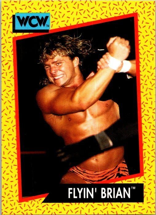 1991 WCW Wrestling Card Flyin' Brian Brian Pillman sk21219