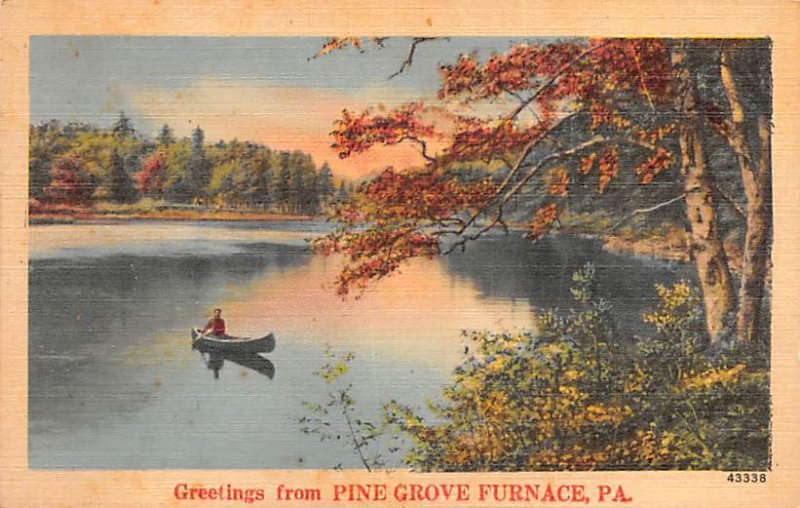 Greetings from Pine Grove Furnace Pine Grove Furnace, Pennsylvania PA