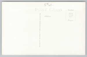 St Ignace Michigan~Island View Lodge Motel~Log Structure~Pine Trees~RPPC