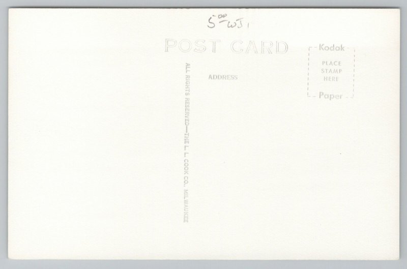 St Ignace Michigan~Island View Lodge Motel~Log Structure~Pine Trees~RPPC