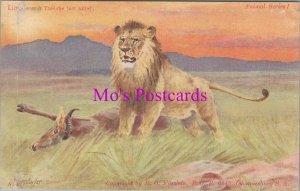 Animals Postcard - Lion Over a Tsesebe Just Killed, South Africa  RS37591