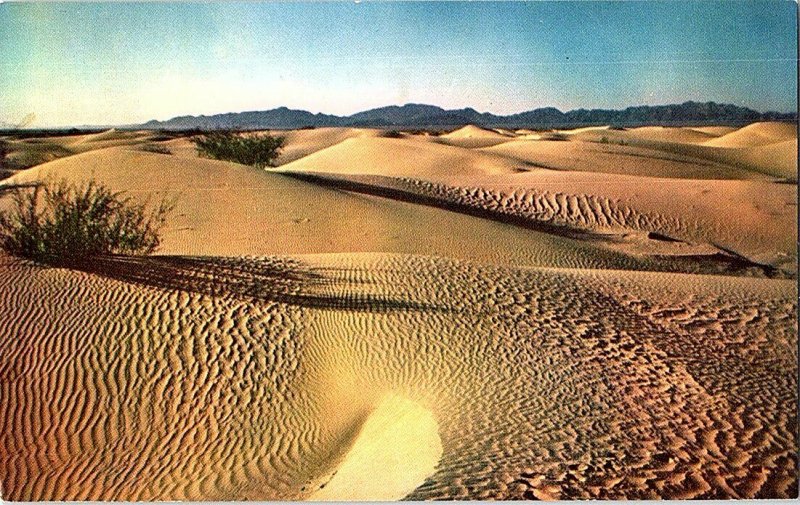 Sand Dunes in the Desert Vintage Postcard Standard View Card 