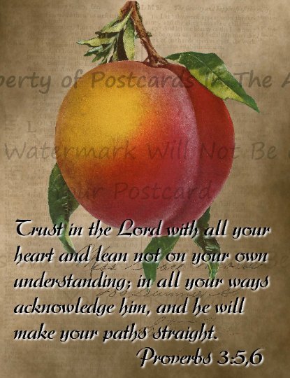 Postcard Set, Proverbs 3:5,6 Trust in the Lord with all your heart.. Calming