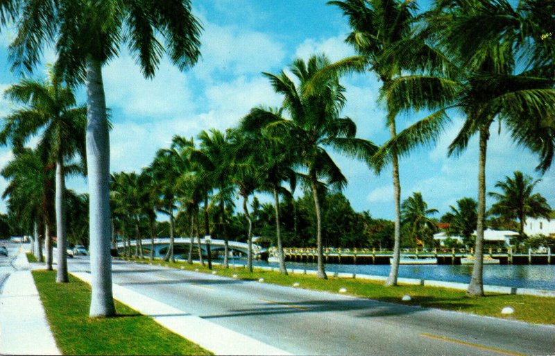 Florida Fort Lauderdale Las Olas Boulevard 1962