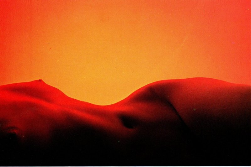 Hot Nude Too BODYSCAPES, 1980 Dick Kranzler, Americards, N.Y.C.N.Y 4x6 Postcard