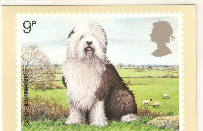 Animals. Old English Sheepdog British ÑPost Office Picture Card Series PHQ 33