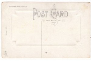 Rural Village Scene, Greetings From..., Antique Embossed Postcard 