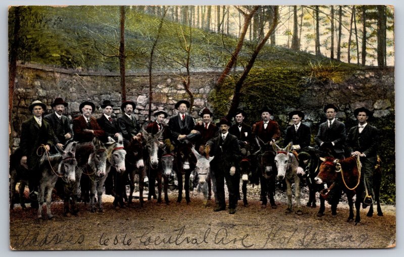 Hot Springs Arkansas Wall~Well Dressed Men on Mules-Donkeys~One Ox~1910 Postcard