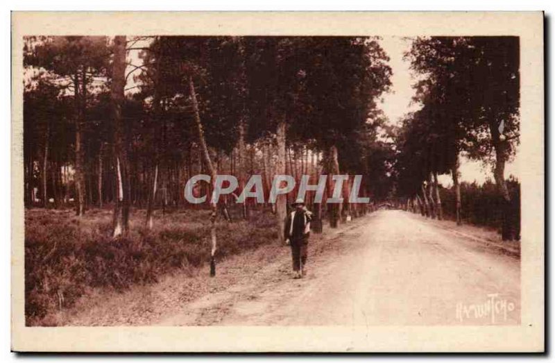 Old Postcard The great road Landes