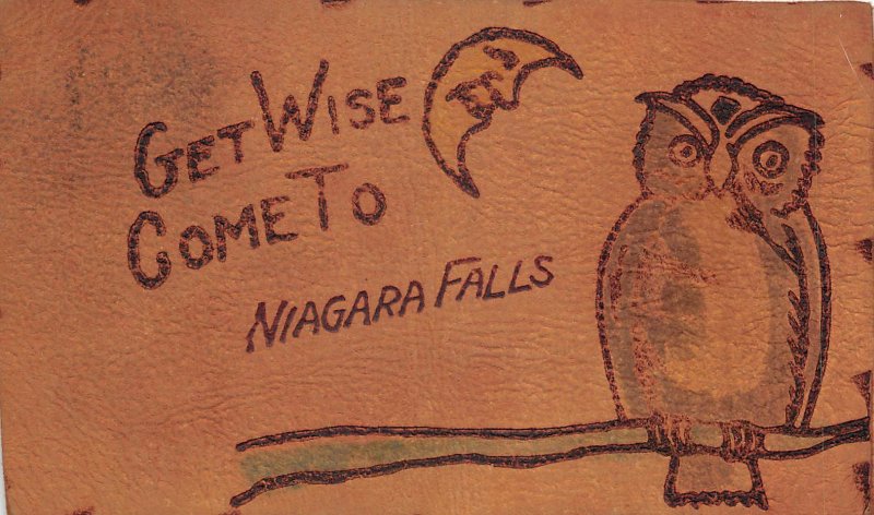 Lot338 get wise come niagara falls moon talking owl real leather postcard