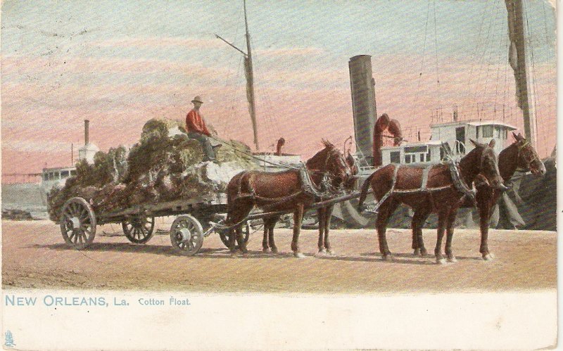 New Orleans, La. Cotton Float. Horses Tuck  New Orleans Ser. PC # 2475