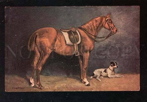 3032117 Graditzer HORSE & FOX TERRIER. By TH.Z. old