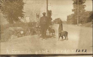 French Goat Herder Goats Terrier Poodle Type Dog c1910 Real Photo Postcard