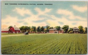 Jackson Tennessee TN, West Tennessee Experimental Station, Fields, Postcard