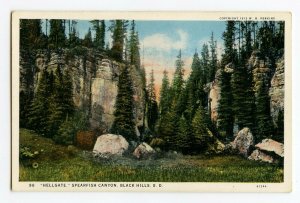 Postcard Hellgate Spearfish Canyon Black Hills South Dakota Standard View Card 