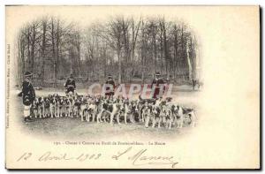 Old Postcard Hunting hounds in a Forest of Fontainebleau The Pack Dogs Dog