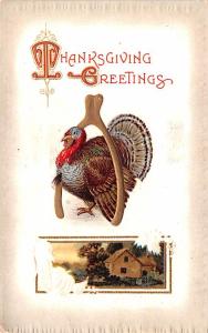 Thanksgiving Postcard Old Vintage Antique Post Card