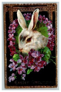 Vintage 1913 Easter Postcard Cute White Bunny Purple Flower Wreath