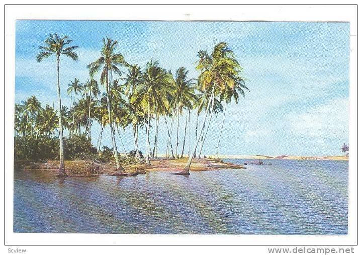 Beautiful Bedok Beach on the East Coast, Singapore, 40-60s