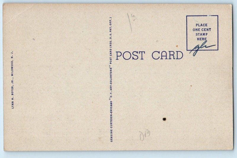 1940 Wildwood Crest New Jersey NJ Vintage Postcard Sailing Sunset Lake Sail Boat