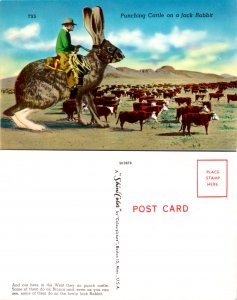 Punching Cattle on a Jack Rabbit (10381)