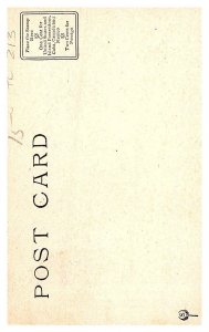 Roosevelt Bears in Department Store. No.9