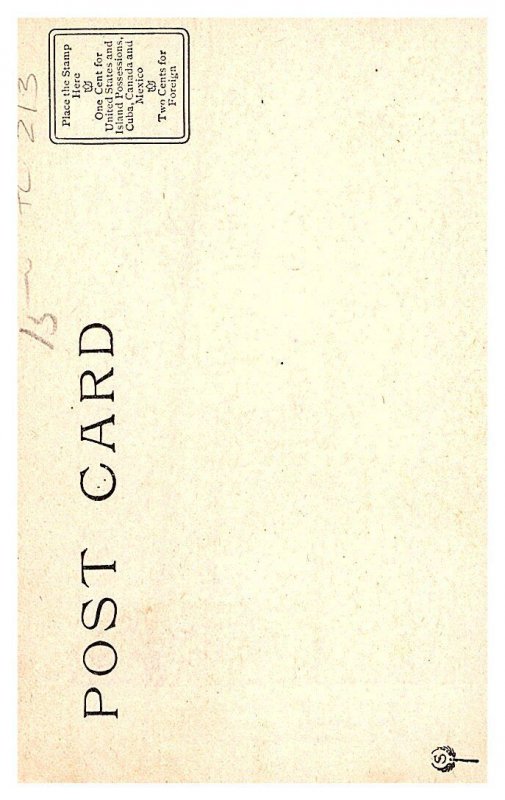 Roosevelt Bears in Department Store. No.9