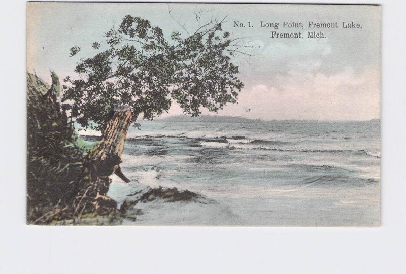 PPC POSTCARD MICHIGAN FREMONT LONG POINT FREMONT LAKE HAND-COLORED 