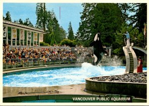 Canada British Columbia Vancouver Public Aquarium Killer Whale Jumping For Food