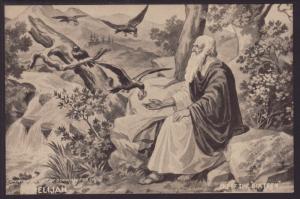 Ravens Feeding Elijah Postcard
