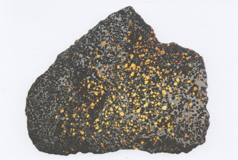 Pallasite Victorian Meteorite Atacama Desert Chile Museum Postcard