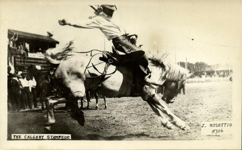 canada, CALGARY Stampede, Horse Rodeo (1940s) Rosettis RPPC No. 306