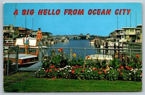 A Big Hello From  Ocean City   New Jersey   Postcard  1962