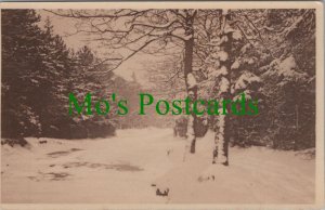 Greetings Postcard - Christmas Winter Woodland Snow Scene RS35978