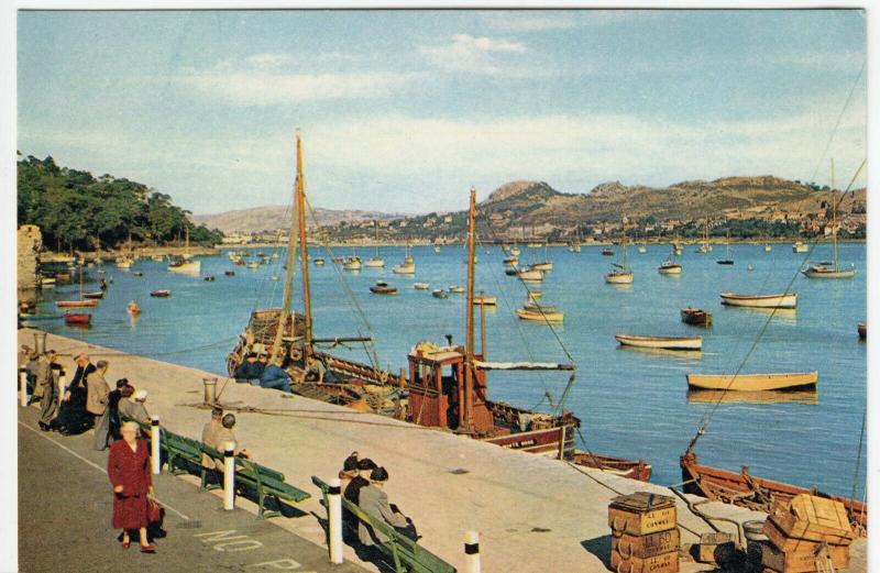 Caernarvonshire; Yachts At Anchor In Harbour, Conway PPC By Dixon, Unposted 