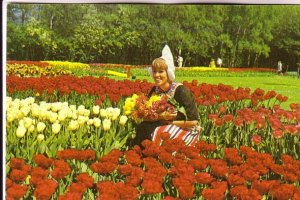 Beautiful Woman in Traditional Dress in Tulip Garden,  Netherlands,