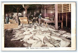 c1920's Halibut Catch Fish Terminal Process On Puget Sound Washington Postcard