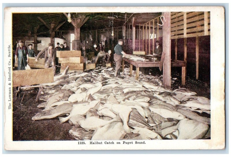 c1920's Halibut Catch Fish Terminal Process On Puget Sound Washington Postcard