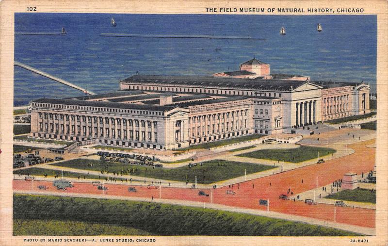 Field Museum of Natural History, Chicago, Illinois, Early Linen Postcard, Used