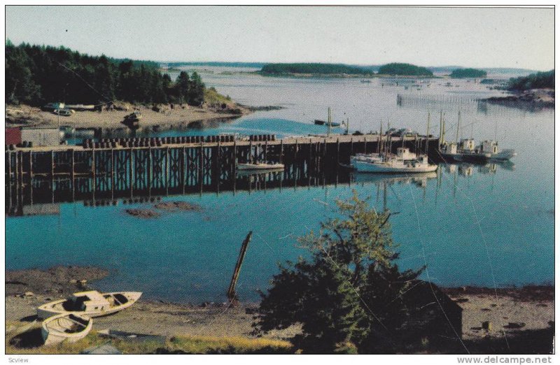 Wharf Fishing Village, Bay Of Fundy, Canada, 1940-1960s