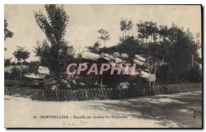 Old Postcard Montpellier Rockery of Esplanade Gardens
