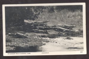 RPPC MURCHISON FALLS NATIONAL PARK UGANDA AFRICA VINTAGE REAL PHOTO POSTCARD