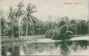 Singapore Tyersall Lake Unused Max Hilckes 199 Postcard G99