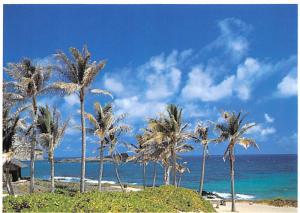 Makapuu Beach Park - 