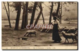 Old Postcard Musee du Luxembourg In the Campaign Lerolle Sheep