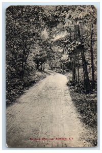 c1910's Woodland Drive Dirt Road Near Monticello New York NY Antique Postcard