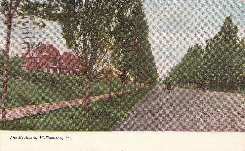 Postcard The Boulevard Williamsport PA