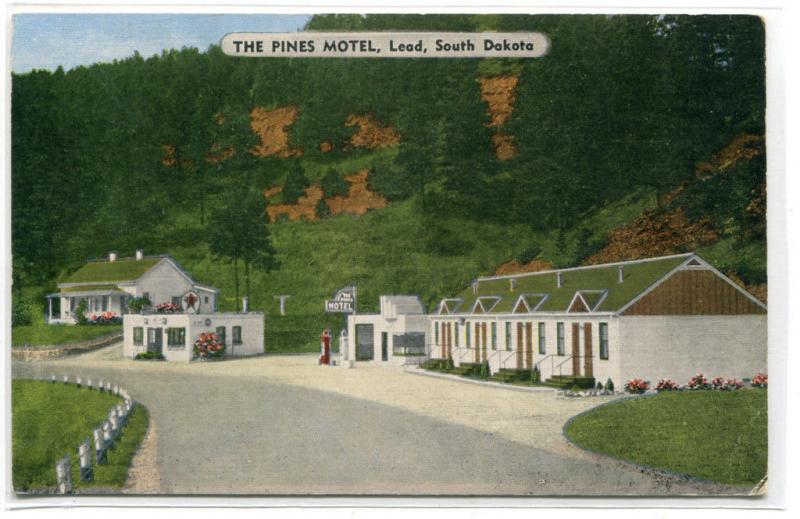 The Pines Motel Highway 85 Lead South Dakota linen postcard